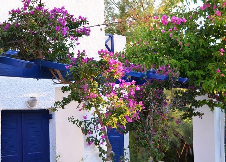 Syros Inn Galissas Extérieur photo